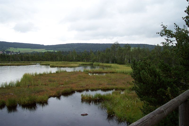 Chalupská slať